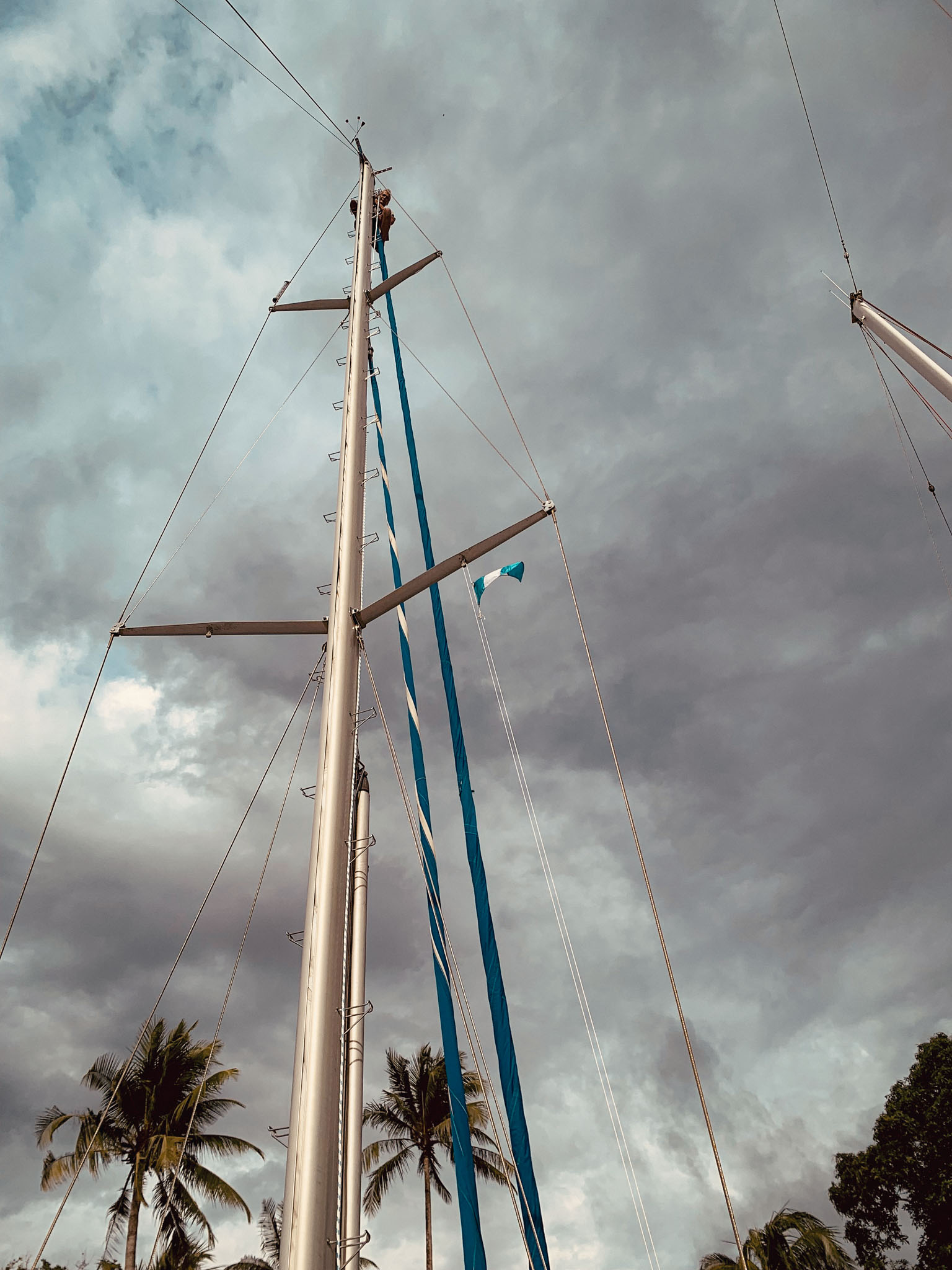 Mast